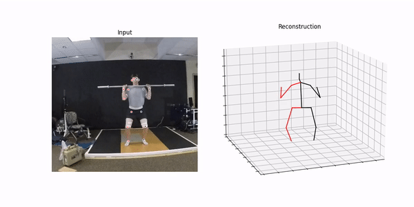 Provided exercise video of a squat using VideoPose3D